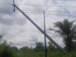 Tiang Listrik PLN Di Desa Jatimulyo Nyaris Tumbang, Kepala Desa kwatirkan Keselamatan Warga.