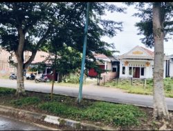 Masyarakat Pertanyakan Pungsi Dari Penanaman Pohon Kiri Kanan Tiang PJU Atas Trotoar, Simpang Arap – Parit Culum 1